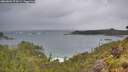 ./images/calvert/foggy-cove/20260604/foggy-cove20260604_074501M.jpg