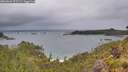 ./images/calvert/foggy-cove/20260604/foggy-cove20260604_075501M.jpg
