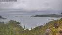 ./images/calvert/foggy-cove/20260604/foggy-cove20260604_080501M.jpg