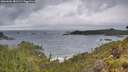 ./images/calvert/foggy-cove/20260604/foggy-cove20260604_081501M.jpg