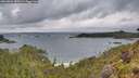 ./images/calvert/foggy-cove/20260604/foggy-cove20260604_082001M.jpg