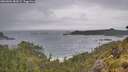 ./images/calvert/foggy-cove/20260604/foggy-cove20260604_084501M.jpg