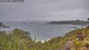 ./images/calvert/foggy-cove/20260604/foggy-cove20260604_085001M.jpg