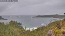 ./images/calvert/foggy-cove/20260604/foggy-cove20260604_085501M.jpg