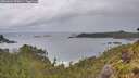 ./images/calvert/foggy-cove/20260604/foggy-cove20260604_090001M.jpg