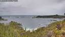 ./images/calvert/foggy-cove/20260604/foggy-cove20260604_093501M.jpg
