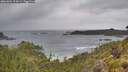 ./images/calvert/foggy-cove/20260604/foggy-cove20260604_095001M.jpg