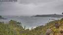 ./images/calvert/foggy-cove/20260604/foggy-cove20260604_095501M.jpg
