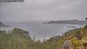 ./images/calvert/foggy-cove/20260604/foggy-cove20260604_100001M.jpg