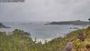 ./images/calvert/foggy-cove/20260604/foggy-cove20260604_100501M.jpg