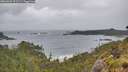 ./images/calvert/foggy-cove/20260604/foggy-cove20260604_101502M.jpg