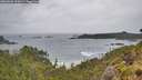 ./images/calvert/foggy-cove/20260604/foggy-cove20260604_102001M.jpg