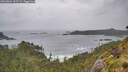 ./images/calvert/foggy-cove/20260604/foggy-cove20260604_102501M.jpg