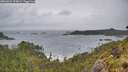 ./images/calvert/foggy-cove/20260604/foggy-cove20260604_103001M.jpg