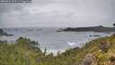 ./images/calvert/foggy-cove/20260604/foggy-cove20260604_103501M.jpg