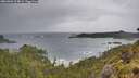 ./images/calvert/foggy-cove/20260604/foggy-cove20260604_104002M.jpg