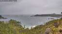 ./images/calvert/foggy-cove/20260604/foggy-cove20260604_104501M.jpg