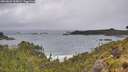./images/calvert/foggy-cove/20260604/foggy-cove20260604_105001M.jpg