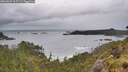./images/calvert/foggy-cove/20260604/foggy-cove20260604_105501M.jpg