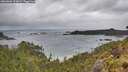 ./images/calvert/foggy-cove/20260604/foggy-cove20260604_110001M.jpg