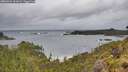 ./images/calvert/foggy-cove/20260604/foggy-cove20260604_111001M.jpg