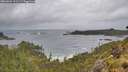 ./images/calvert/foggy-cove/20260604/foggy-cove20260604_111501M.jpg