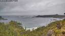 ./images/calvert/foggy-cove/20260604/foggy-cove20260604_112001M.jpg