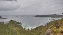 ./images/calvert/foggy-cove/20260604/foggy-cove20260604_112501M.jpg