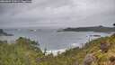 ./images/calvert/foggy-cove/20260604/foggy-cove20260604_113001M.jpg