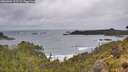 ./images/calvert/foggy-cove/20260604/foggy-cove20260604_113501M.jpg