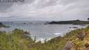 ./images/calvert/foggy-cove/20260604/foggy-cove20260604_114001M.jpg