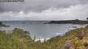 ./images/calvert/foggy-cove/20260604/foggy-cove20260604_114501M.jpg
