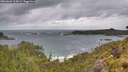 ./images/calvert/foggy-cove/20260604/foggy-cove20260604_115001M.jpg