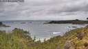 ./images/calvert/foggy-cove/20260604/foggy-cove20260604_115501M.jpg