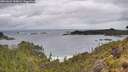 ./images/calvert/foggy-cove/20260604/foggy-cove20260604_120001M.jpg