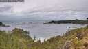 ./images/calvert/foggy-cove/20260604/foggy-cove20260604_122001M.jpg