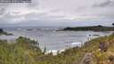 ./images/calvert/foggy-cove/20260604/foggy-cove20260604_123001M.jpg