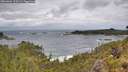 ./images/calvert/foggy-cove/20260604/foggy-cove20260604_123501M.jpg