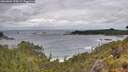 ./images/calvert/foggy-cove/20260604/foggy-cove20260604_124501M.jpg