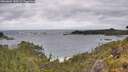 ./images/calvert/foggy-cove/20260604/foggy-cove20260604_130501M.jpg