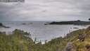 ./images/calvert/foggy-cove/20260604/foggy-cove20260604_132502M.jpg