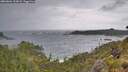 ./images/calvert/foggy-cove/20260604/foggy-cove20260604_133001M.jpg
