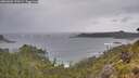 ./images/calvert/foggy-cove/20260604/foggy-cove20260604_133501M.jpg