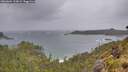 ./images/calvert/foggy-cove/20260604/foggy-cove20260604_134001M.jpg