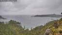 ./images/calvert/foggy-cove/20260604/foggy-cove20260604_134501M.jpg