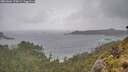 ./images/calvert/foggy-cove/20260604/foggy-cove20260604_135001M.jpg