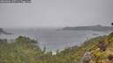 ./images/calvert/foggy-cove/20260604/foggy-cove20260604_135501M.jpg