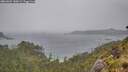 ./images/calvert/foggy-cove/20260604/foggy-cove20260604_140002M.jpg