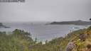 ./images/calvert/foggy-cove/20260604/foggy-cove20260604_140501M.jpg