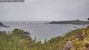 ./images/calvert/foggy-cove/20260604/foggy-cove20260604_141001M.jpg